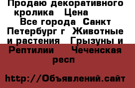 Продаю декоративного кролика › Цена ­ 500 - Все города, Санкт-Петербург г. Животные и растения » Грызуны и Рептилии   . Чеченская респ.